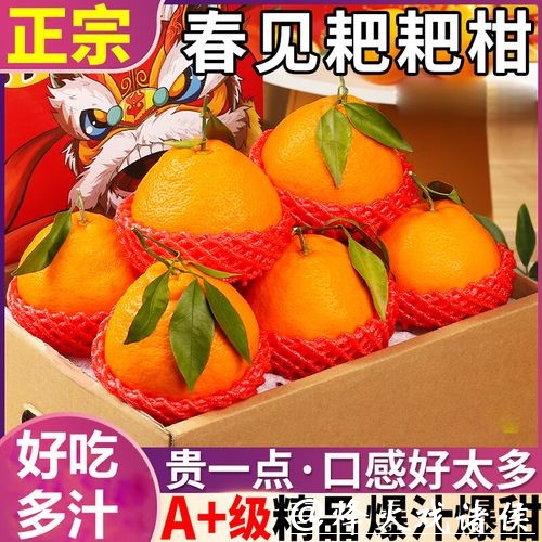 网友跨国追星托带家乡味尹航闪送耙耙柑温暖直抵德国赛场 网友跨国追星托带家乡味尹航闪送耙耙柑温暖直抵德国赛场